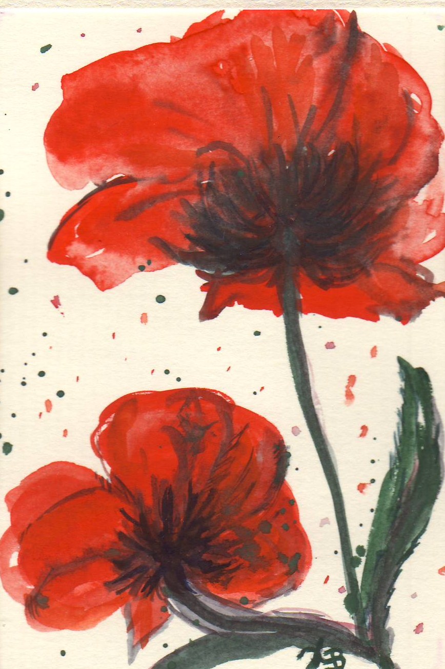 aquarell-mohn-gross