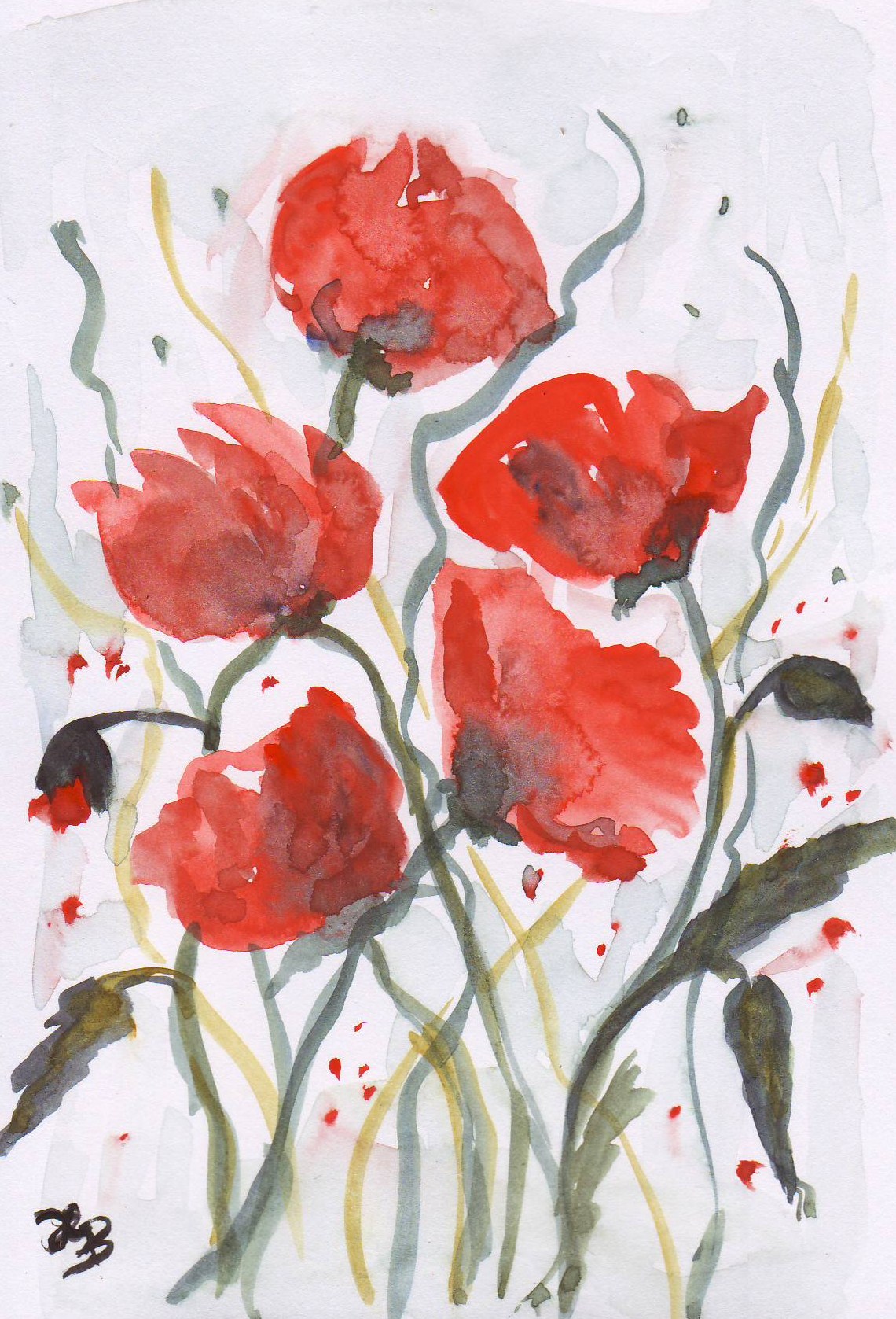 aquarell-mohn