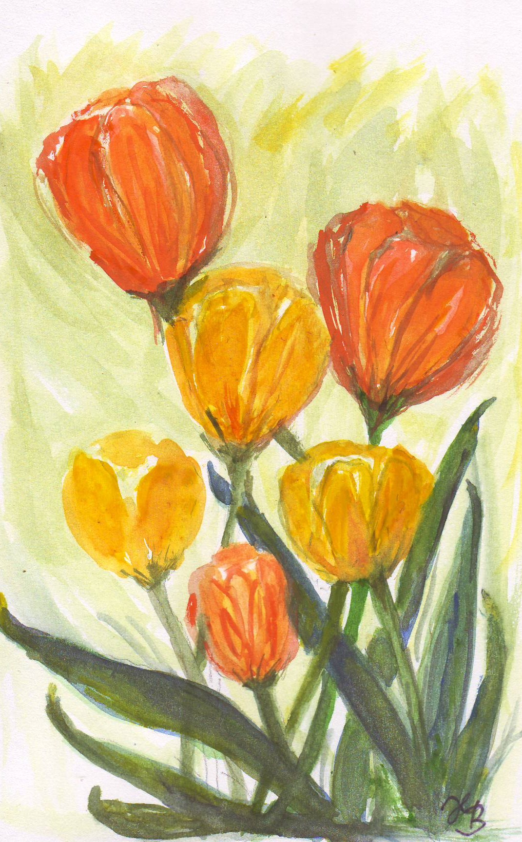 aquarell-orangene-tulpen