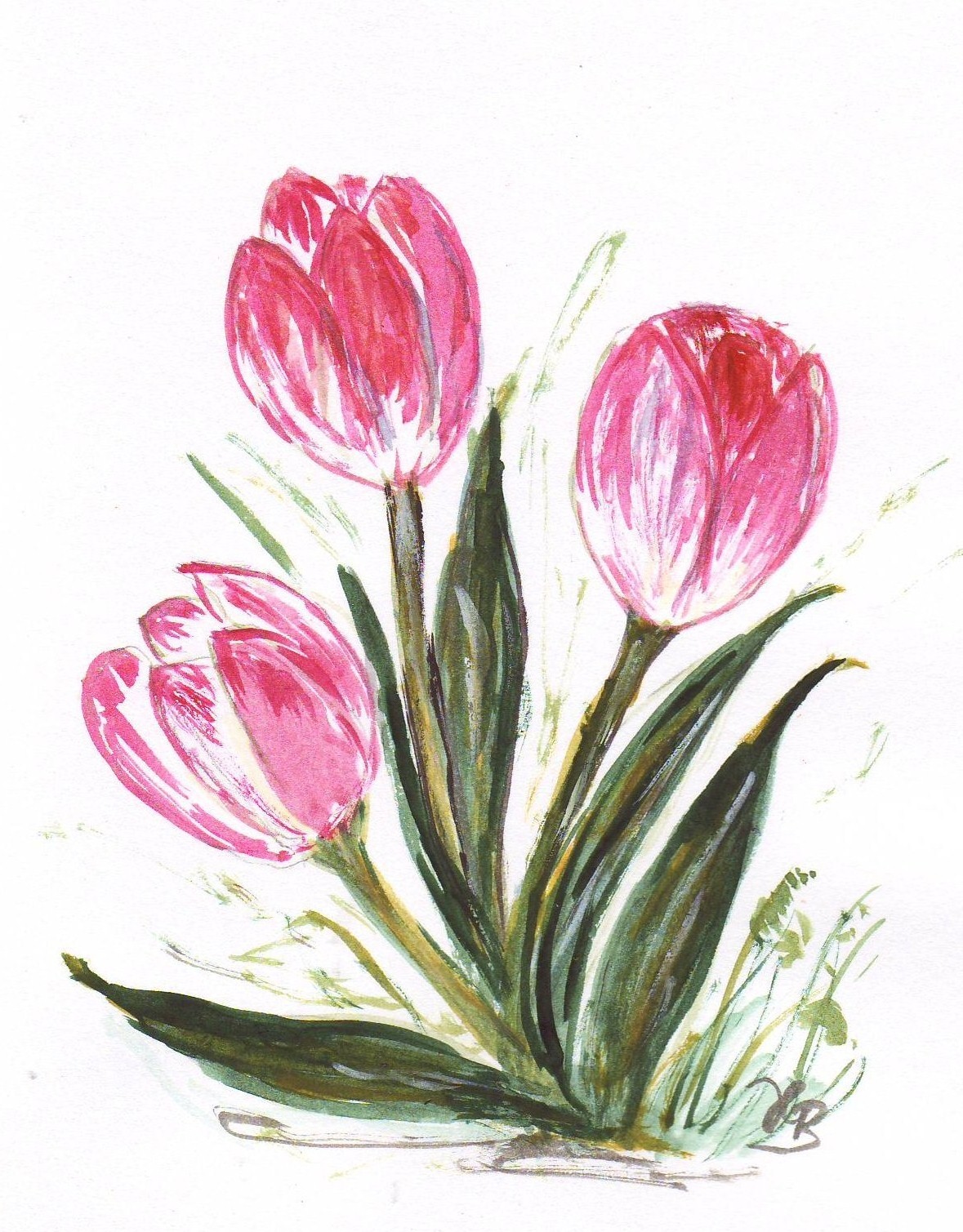 aquarell-rosa-tulpen